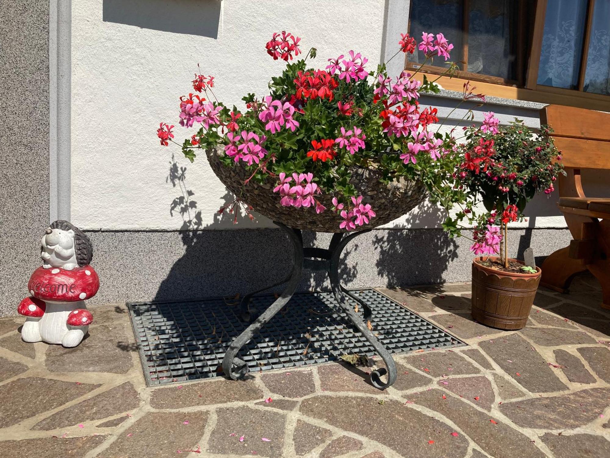 Biohof-Feichtinger Apartment Zell am Moos Exterior photo