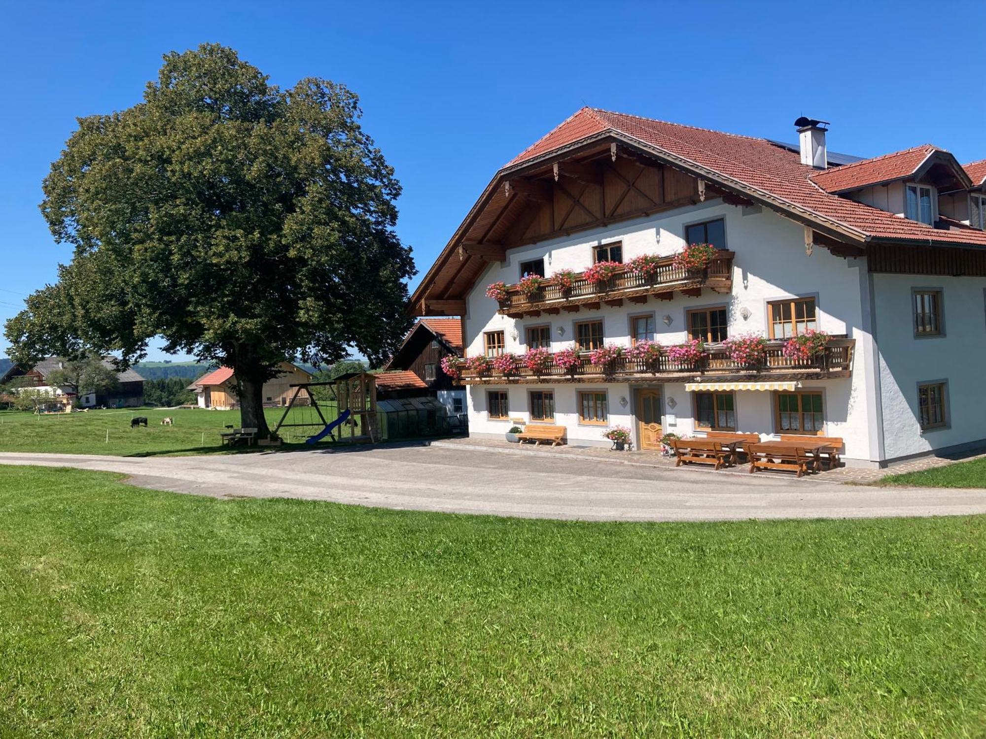 Biohof-Feichtinger Apartment Zell am Moos Exterior photo